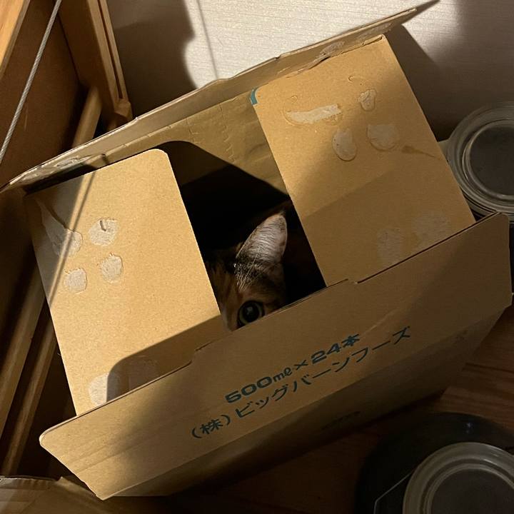 B23a1433 793c 490c 9f30 19b432645b9b 1661258984895