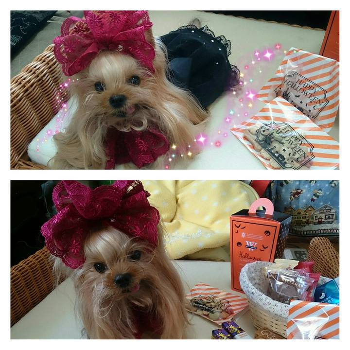 B23a2519 8f15 440b a40f 1c2e7ab21e98 1509373517726