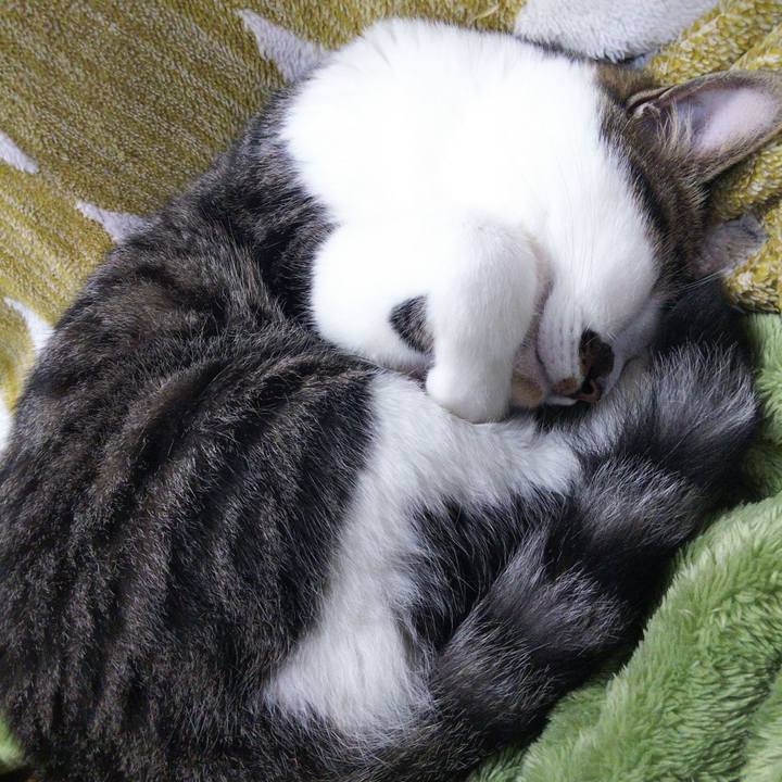 B23a2855 30bc 4e13 b24c 368f7e2bbbc8 1653636587080