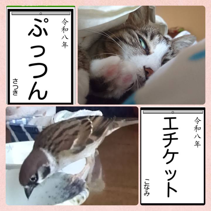 B23a2d9e 6bf0 49c0 a261 cfc67839456d 1768035105004