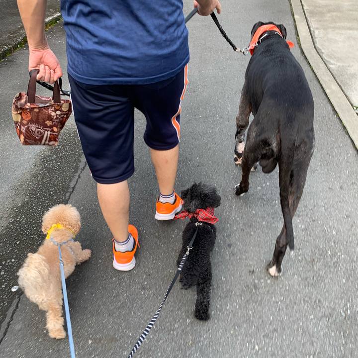 B23a3e22 15fa 44a6 bc3d df2348a1bc4f 1596324261245