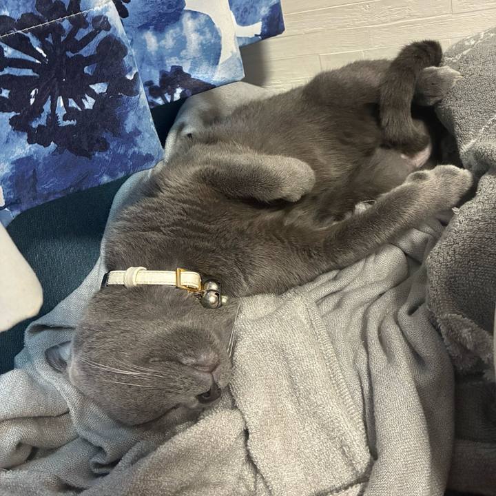 B23a78b5 3e3b 4a05 b0aa 2a2ec2db70f4 1750576572818