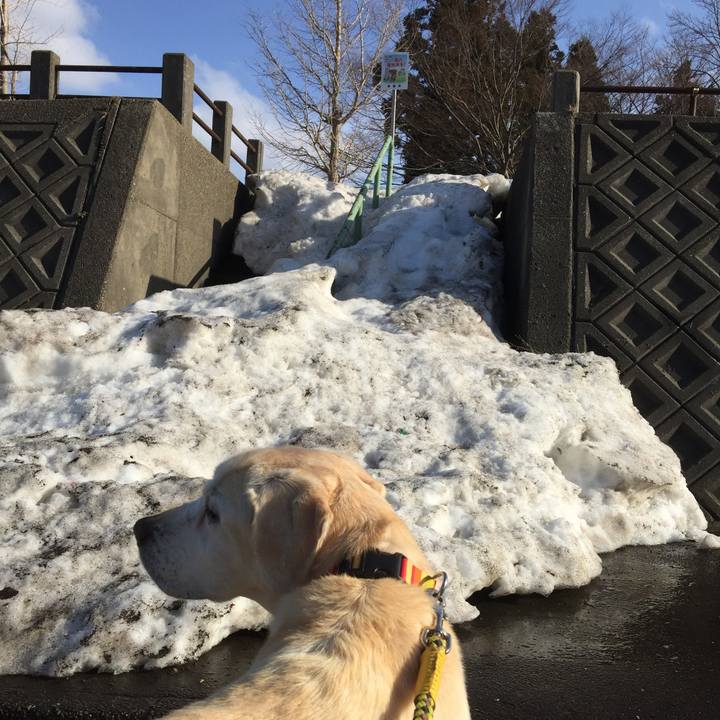 B23ac9a8 031c 4163 b441 9eb6399f465e 1521529821976