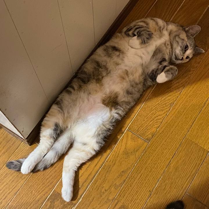 B23add0c d8e3 4410 b4d3 47e934d82089 1659016478703