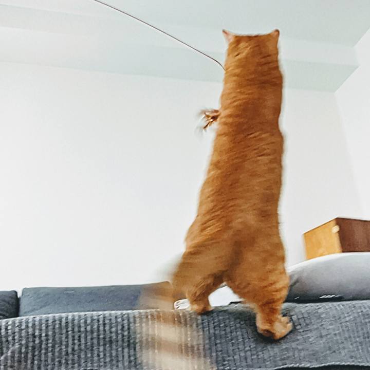 B23aef6e 6dd0 4fa6 9e63 65f73cb13043 1632363597235