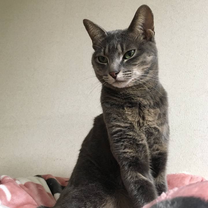 B23b395a b7cb 4ce7 afd0 1b77d62f2554 1574336897717