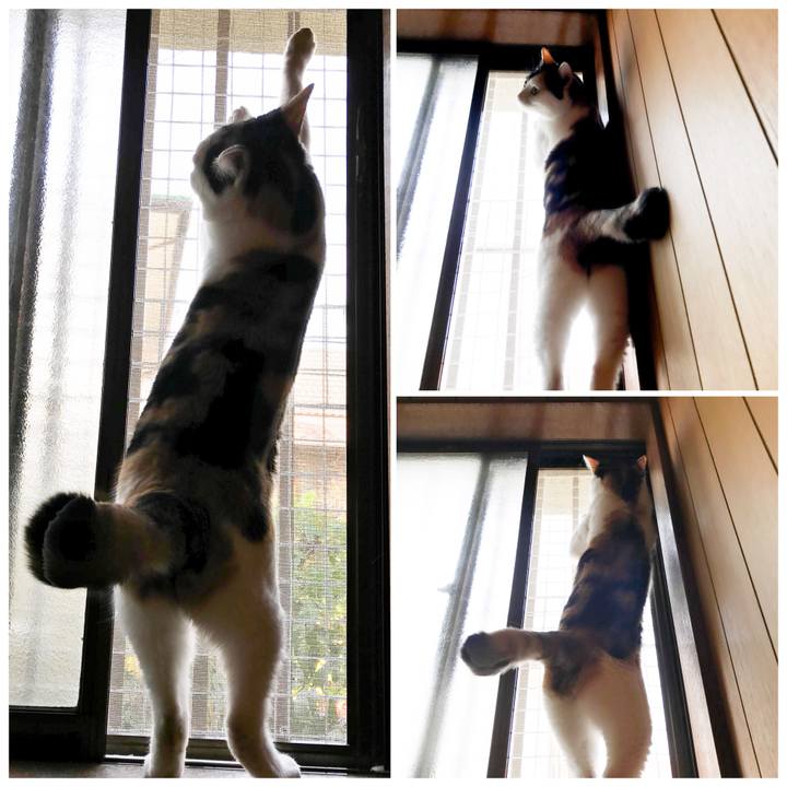 B23b4a75 57ca 4bea 9cef 2563c308f96e 1523245222613