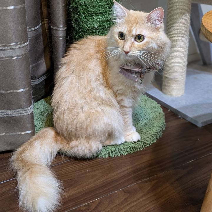 B23b6877 b9ec 46a6 a3d0 8e0fab1ef15c 1730033879564