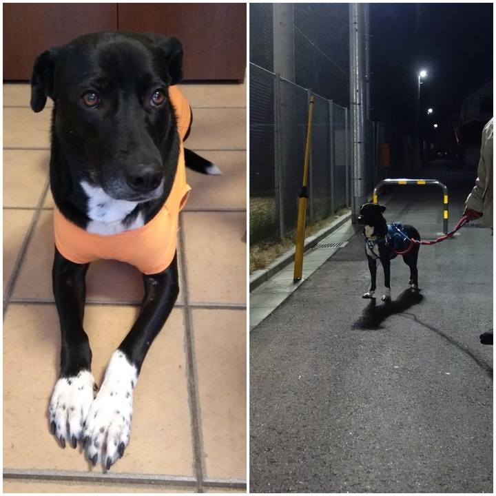 B23bbf3d dac0 4568 9449 84e8d40a6460 1614767479628