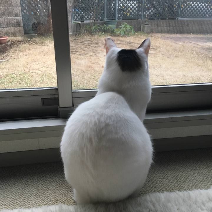 B23bcaf5 3fc5 4e81 9c78 5c8045fb4169 1516498864547