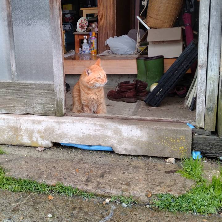 B23bd0cc c734 45c2 8cd6 bde603dcb3e5 1703578970183