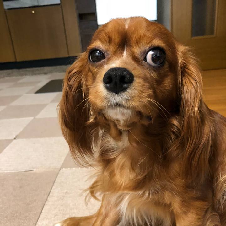 B23bd1d2 41e8 455f b5fc 5a2ce462cb0f 1534284862197