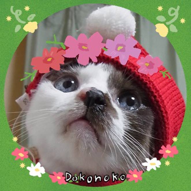 B23becbe e6a0 4bd6 a735 f4c6dfff78b4 1726886619322