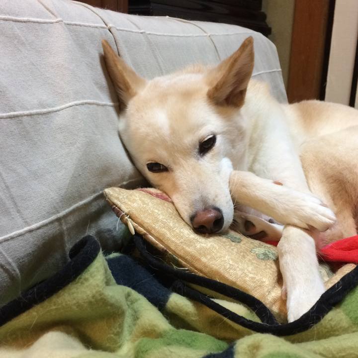 B23c078c 14ae 4fde aedf 972e8befbd26 1510661931010