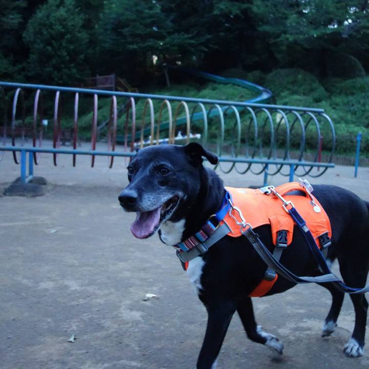 B23c48ad 7a79 44d6 b4b5 f79060f3b4bf 1752059227118