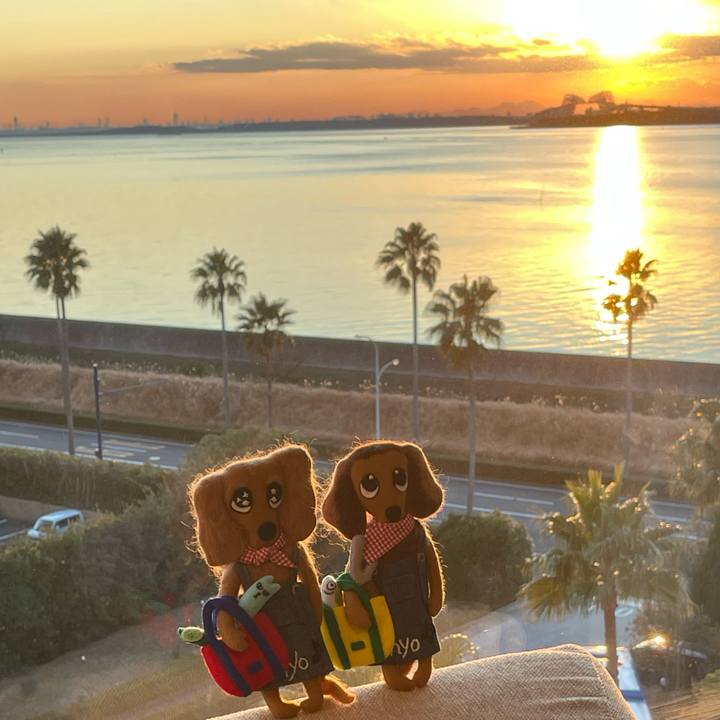 B23c4c22 487d 46e1 aaf0 d44463d0898a 1737533576568