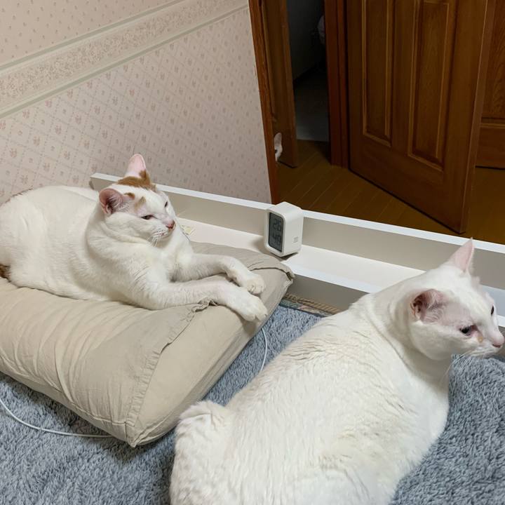 B23c5f29 828b 4ecb 9843 2fa6fb80a909 1638137046876