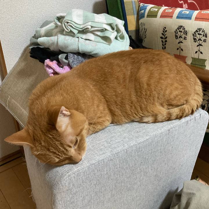 B23cadd4 b654 4ea5 a17c 64481f344d9c 1761924257324