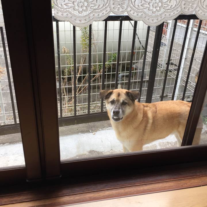 B23cb6e3 f9ce 43b6 a56b 837715d59ea6 1512964897437