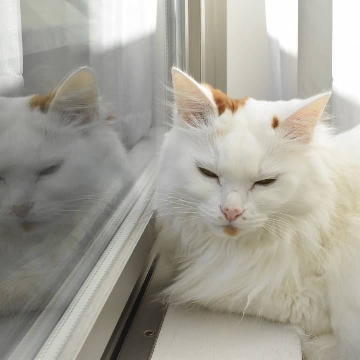 B23cd6d6 6cfd 4857 8c48 b3efc89ad116 1766806586352