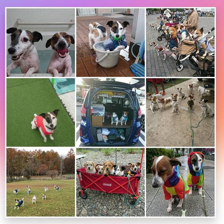 B23cdffd ccc1 4888 88be 4fb9f53e51a4 1609414795275