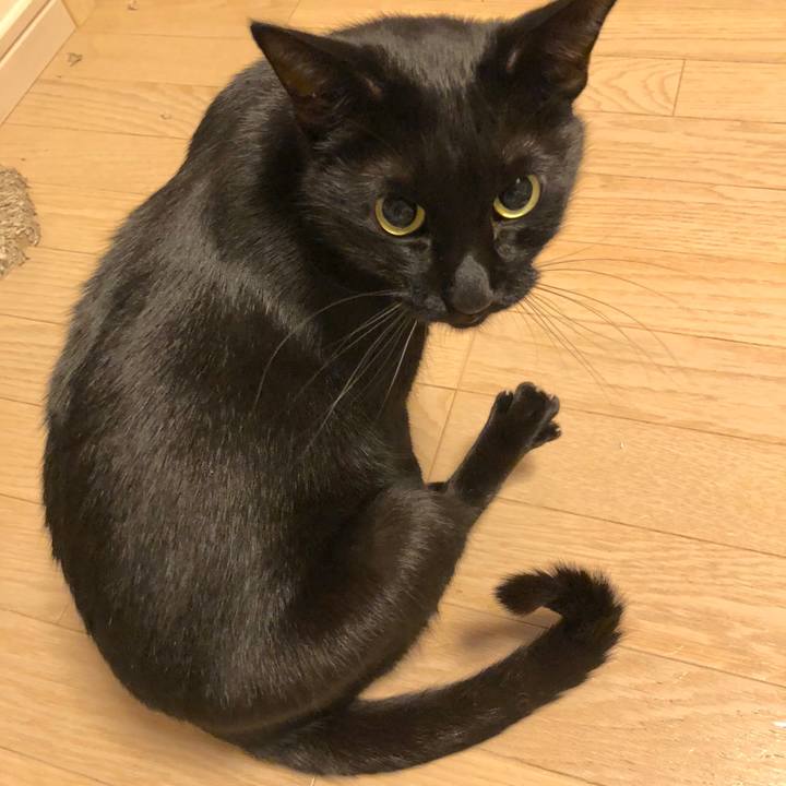 B23ce667 4d39 42df a3e4 9954d900d71d 1514895505029