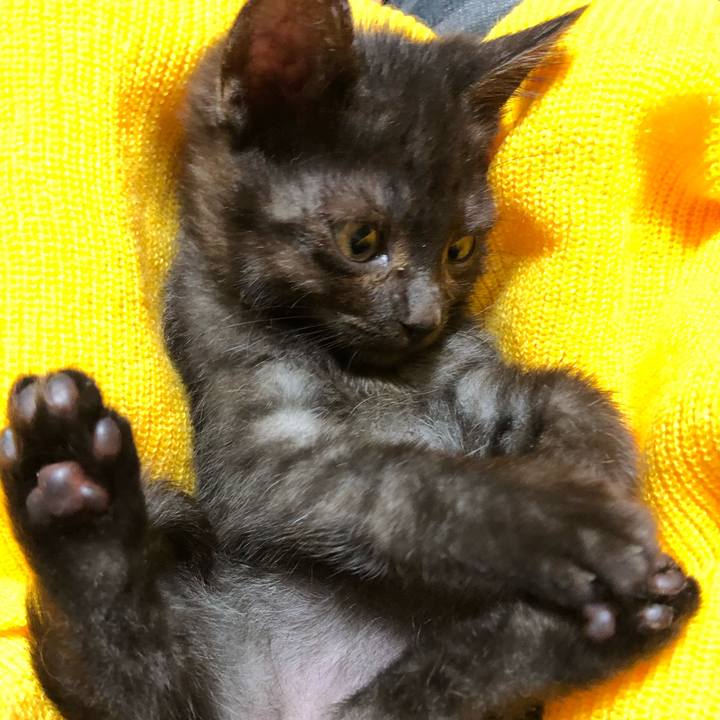 B23d3239 a935 41c0 ae84 2abc9823b135 1604425389721