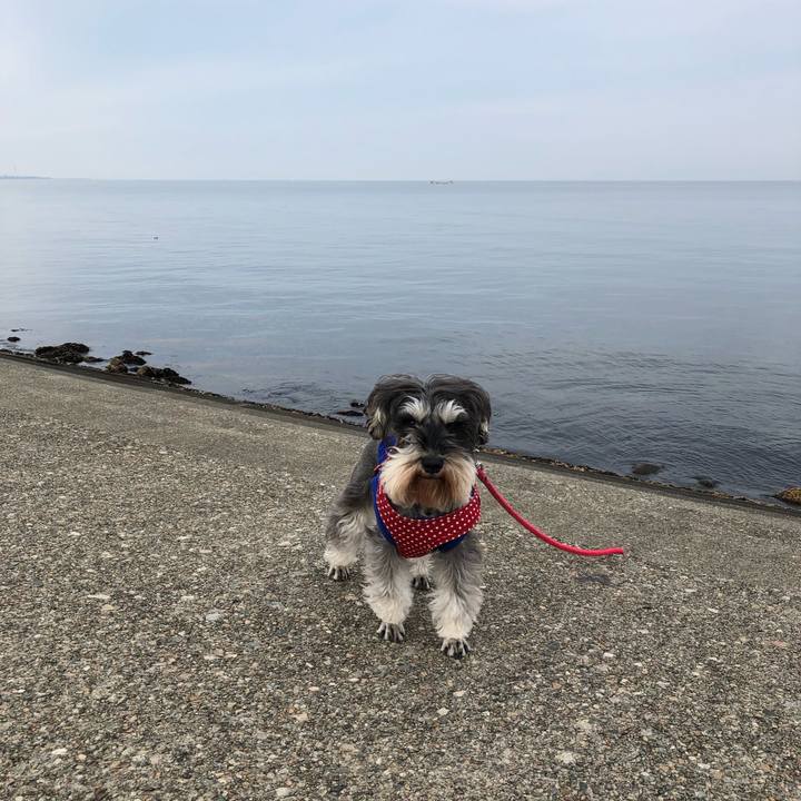 B23d67cf 3a24 42dd 87d9 9a7958406c35 1551572121431