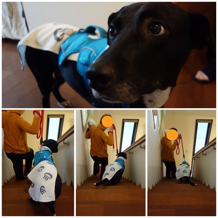 B23d6c53 831c 4710 8bec 9cdde71ba97e 1608806288154