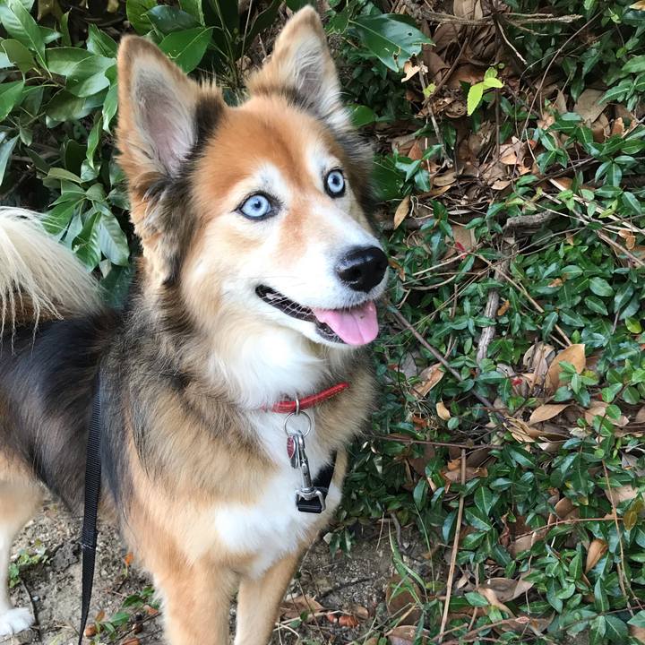 B23d7589 4c7e 4ad0 adf8 b94533b51269 1569398780667