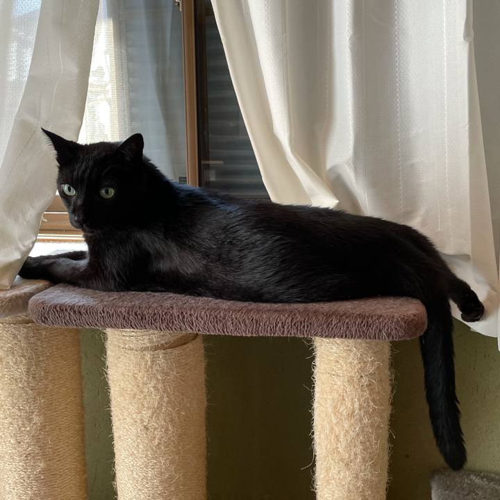 B23d8e03 9827 44ef 9b8c 8fb6986cc62a 1627342980866