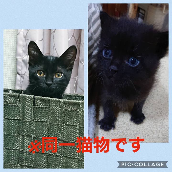 B23d8e6e 723b 4620 8e4f f62c66a34959 1598571356778