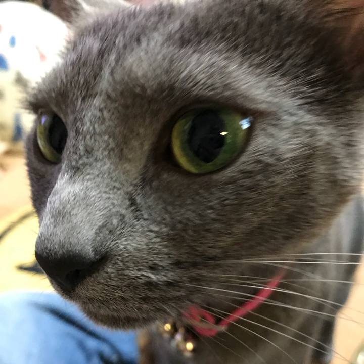 B23df704 22d3 451a 9877 bccef50082b0 1522484090417