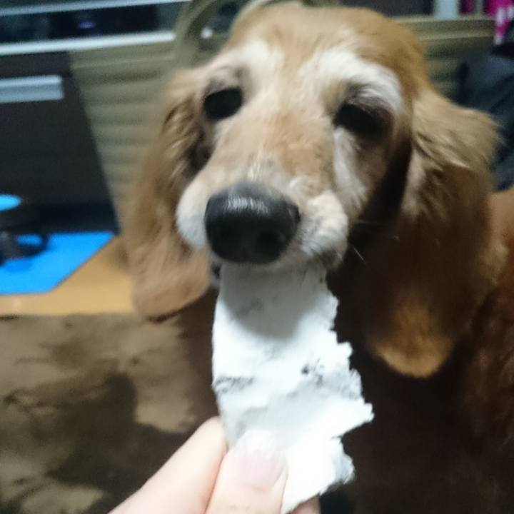 B23e3c5d ea51 4a0a 9791 9ecf8e22173e 1580408478310