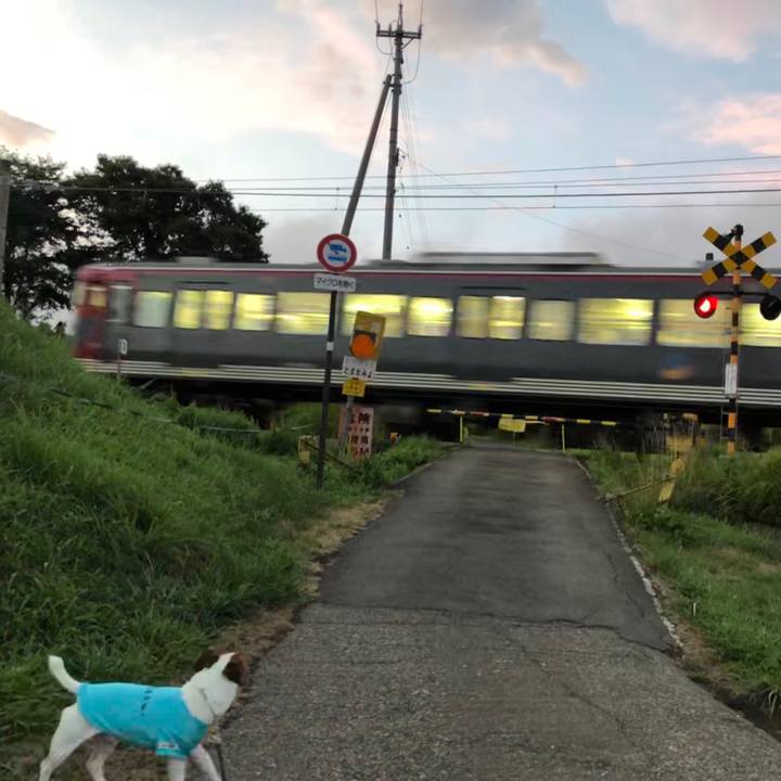 B23e5c2d 50b3 4b29 82d6 97aa93117ae3 1565954739998