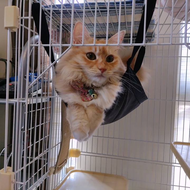 B23e7279 c3c6 4271 885c aaf7eff6e331 1692505016354