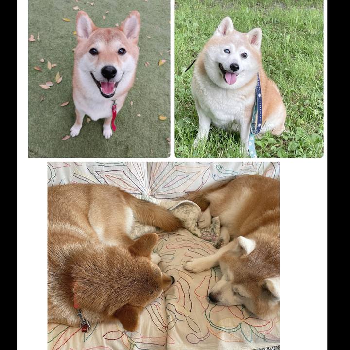 B23e750a df4b 49d2 87c5 347c539781f6 1735602051243