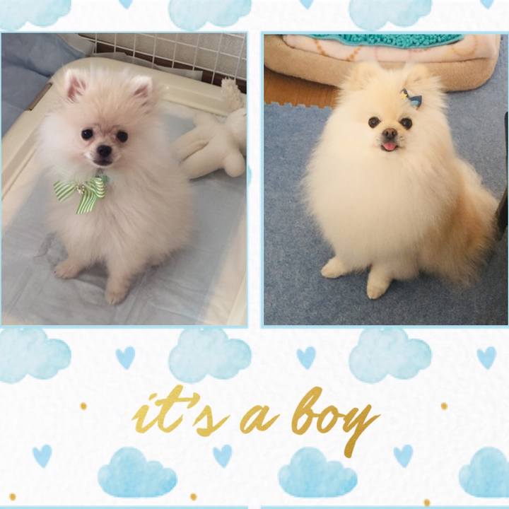 B23e94cd f503 4c5a 9a66 c4a4895bc4a4 1587555352686