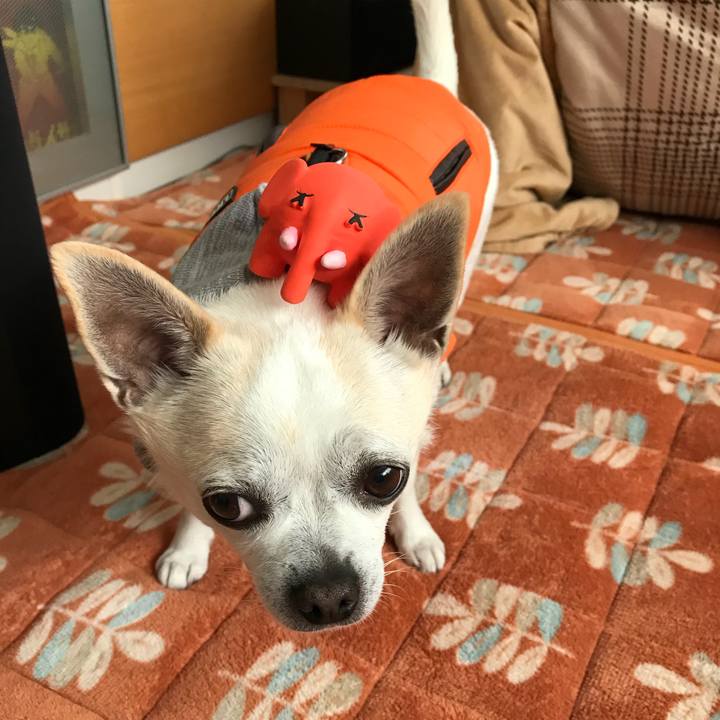 B23e99e8 798f 4c12 b187 d2d948f0312e 1514815814036