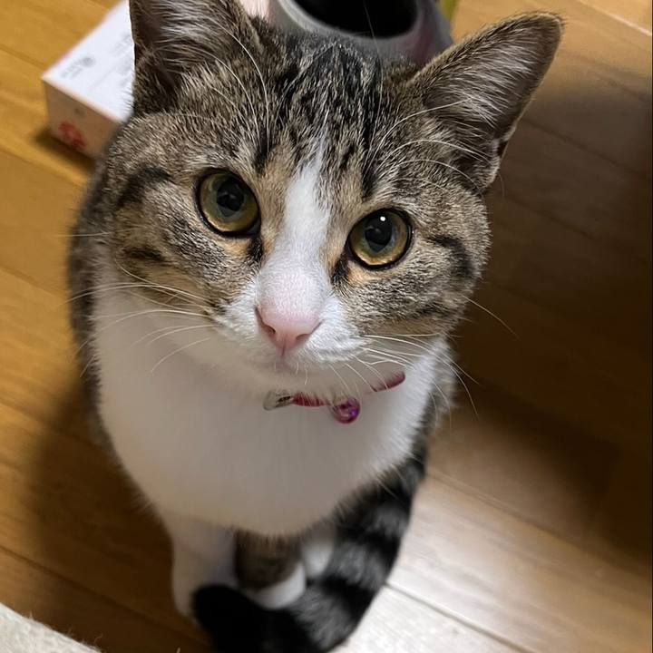 B23eb268 29e4 469c 9a8e c4eb293e223b 1659087345360