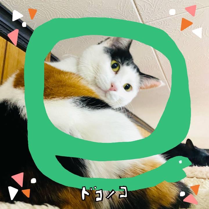 B23eb7d9 222e 4b2c b74a c33b69c38c24 1741166142841