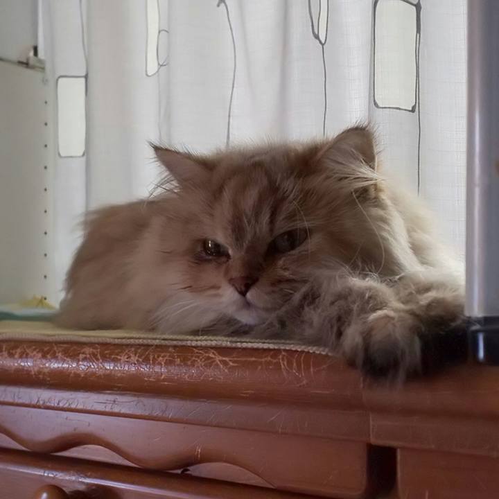 B23ecaa3 d21b 439c 81b7 e56807f1243c 1601259162543