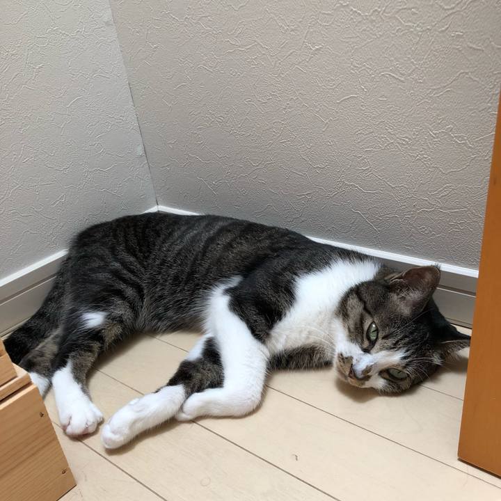 B23ee260 ff62 4f8e b7d4 c42637a81002 1532229927626