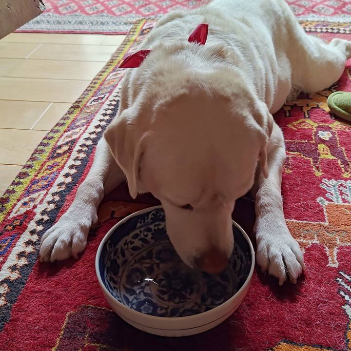 B23f0780 81b3 4bcd bbcd c6b1ec7d207e 1750753634390