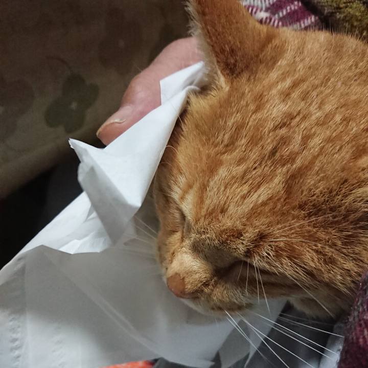 B23f0e69 b750 4b26 a014 123c40259340 1574244882185