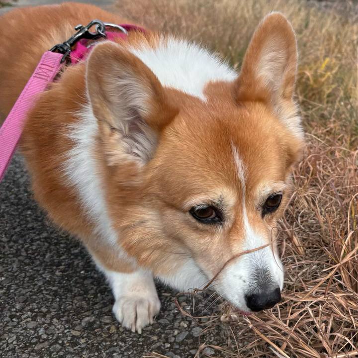 B23f34ce 1580 474f a5f6 59d9371d0f95 1733975669593