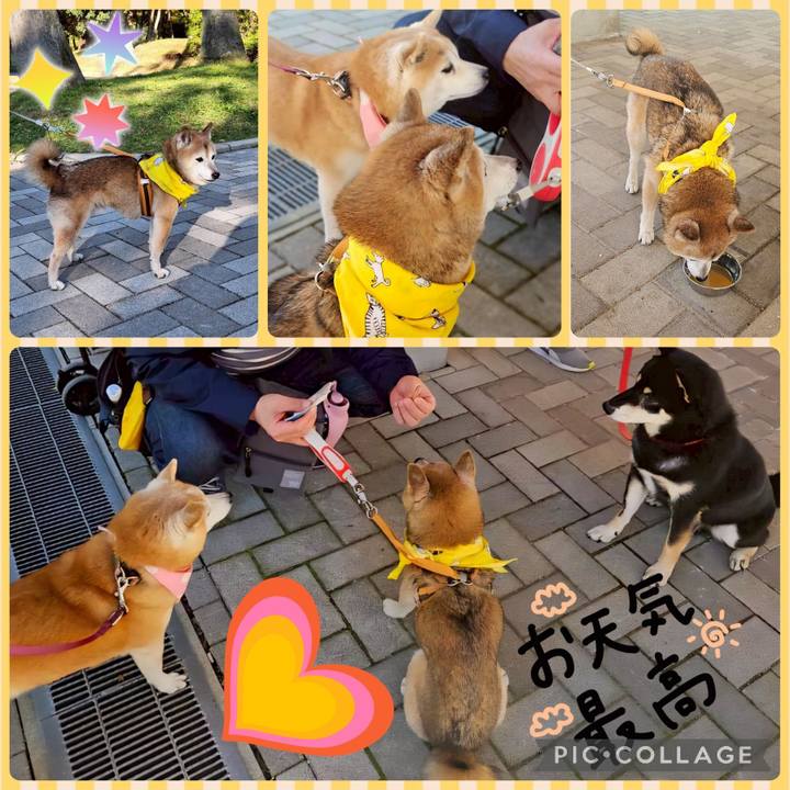 B23f625a 8cfb 4307 b95d ab5f940b796e 1763627355900