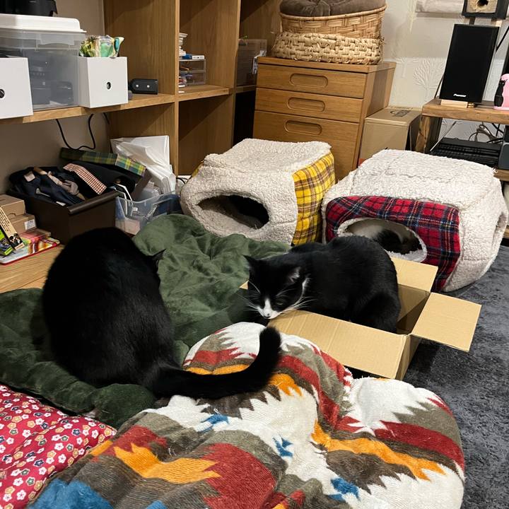 B23f8ce2 18a1 4429 b08c ba0e45ddacaf 1670197100924