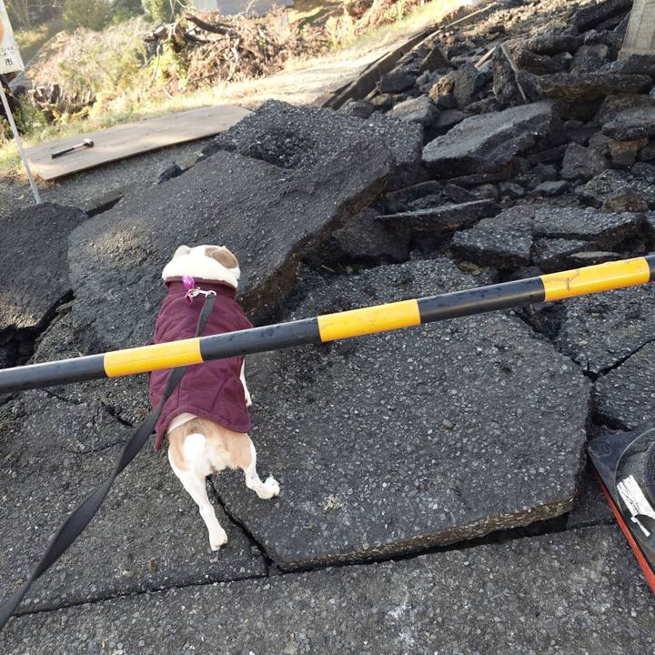 B23fc294 47e8 4eda 97c6 c3a5a3097c6a 1763975836435