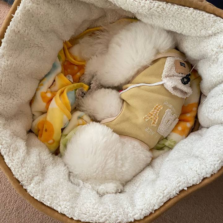 B23fe144 8671 483a 93b1 f423a52b26a4 1670913341715